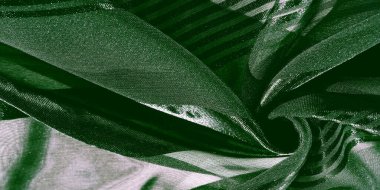 İpek kumaş. Farklı boyutlarda çizgileri olan şeffaf ipek kumaş, yeşil. doku, arkaplan, desen