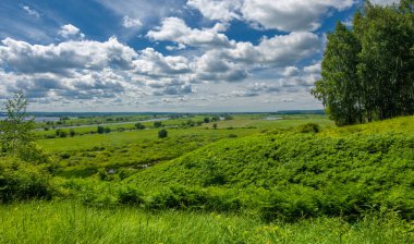 Yaz su çayırları, nehir taşkın ovaları, dağdan çekilmiş fotoğraflar. Nehrin kenarında yemyeşil çimenler, çam, huş ağacı, fındık ağacı yetişir. sıcak yaz günleri