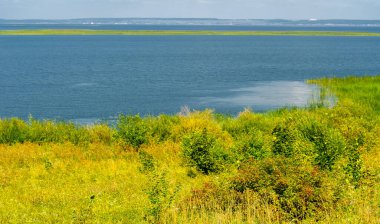 Yaz manzarası. Dünyanın Avrupa bölgesindeki bir nehir. Güneşli sıcak bir gün. Yeşil ağaçlar, çimenler. Mavi gökyüzü küçük bir bulut örtüsüyle.