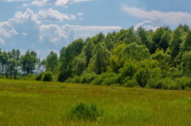Yaz manzarası, gök gürültülü bulutlar, mavi gökyüzü, sel basmış çayır tarlaları, yaz renklerinin kokusu ve çeşitli kır çiçekleri.