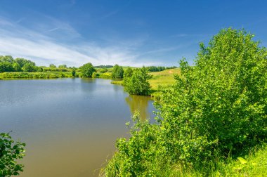Yaz manzarası, bunaltıcı yaz günleri, ılık suyla dolu bir göl, ılık kuzey yarımkürede yaşayan fındık ağacı. Çalılar