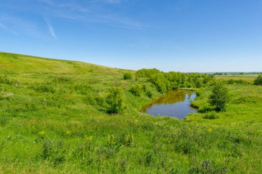 Yaz manzarası, bunaltıcı yaz günleri, ılık suyla dolu bir göl, ılık kuzey yarımkürede yaşayan fındık ağacı. Çalılar