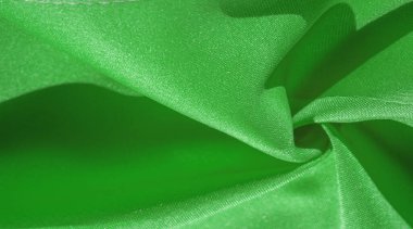 Doku, arka plan, desen, ipek kumaş, orman yeşili. Fotoğraf, iç tasarım, moda tasarımcısı taklidi, pazarlama, mimari, eskiz düzeni ve arkadaş çevresi için tasarlandı.