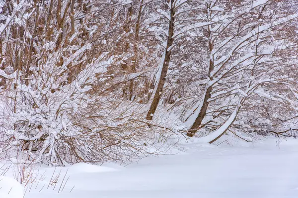 Râul Îngheață Iarna Timpul Iernii Râul Transformă Într Adevărat Tărâm — Fotografie, imagine de stoc