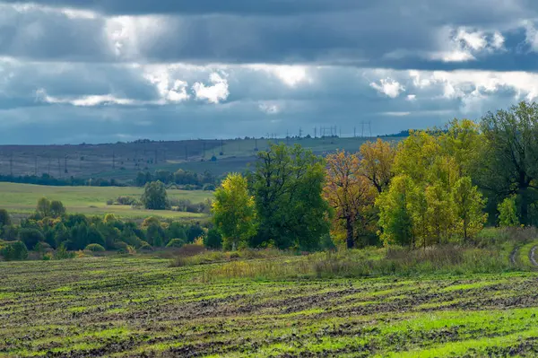 秋天风景照片 欧洲平坦的植物群 开放的落叶或混交林 Meadows September — 图库照片