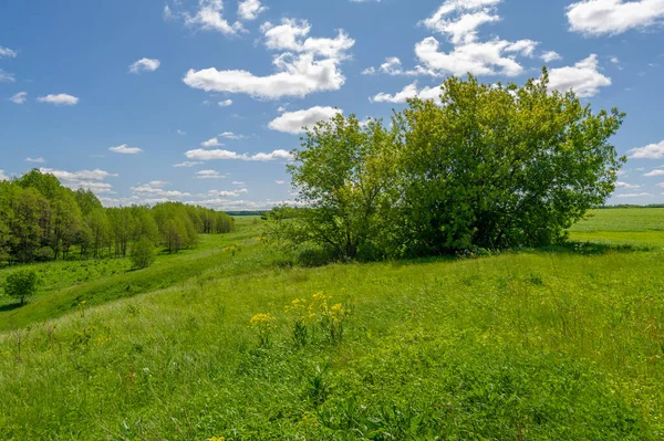 Piękne Krajobrazy Naturalne Uchwycone Dzięki Fotografii Wiosenne Krajobrazy Łąkami Polami — Zdjęcie stockowe