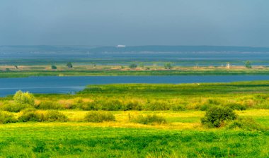 Yaz manzarası. Dünyanın Avrupa bölgesindeki bir nehir. Güneşli sıcak bir gün. Yeşil ağaçlar, çimenler. Mavi gökyüzü küçük bir bulut örtüsüyle.