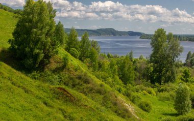 Yaz fotoğrafçılığı, dağlar, çam ağaçları, huş ağaçları, meşeler, tepeler, beyaz bulutlu mavi gökyüzü, toprak yol, köknar ağaçları arasında sallanan rüzgarlar, parlak kırmızı çilekler olgunlaşmış.