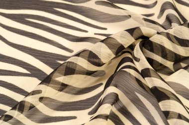 Siyah ve bej çizgili ipek kumaş, Afrika tarzı zebra derisi. Tasarımcı için, tasarımın taslağı, dekoratörün çevresi. Arkaplan dokusu koleksiyonu