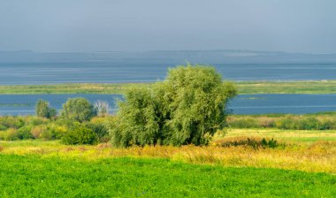 Yaz manzarası. Dünyanın Avrupa bölgesindeki bir nehir. Güneşli sıcak bir gün. Yeşil ağaçlar, çimenler. Mavi gökyüzü küçük bir bulut örtüsüyle.