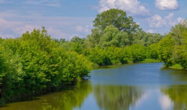 Yaz, gök gürültülü bulutlar, mavi gökyüzü, sel basmış çayır tarlaları, yaz renklerinin kokusu ve çeşitli kır çiçekleri.