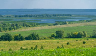 Yaz manzarası. Dünyanın Avrupa bölgesindeki bir nehir. Güneşli sıcak bir gün. Yeşil ağaçlar, çimenler. Mavi gökyüzü küçük bir bulut örtüsüyle.