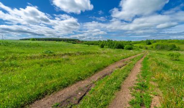 Bahar, manzara, toprak yol ya da yeryüzünün içinden geçtiği yol.