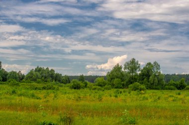 Yaz manzarası, gök gürültülü bulutlar, mavi gökyüzü, sel basmış çayır tarlaları, yaz renklerinin kokusu ve çeşitli kır çiçekleri.