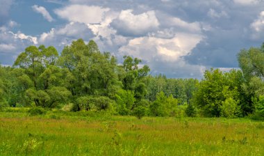 Yaz manzarası, gök gürültülü bulutlar, mavi gökyüzü, sel basmış çayır tarlaları, yaz renklerinin kokusu ve çeşitli kır çiçekleri.
