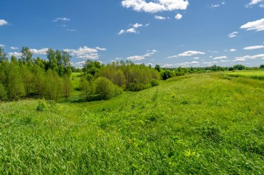 Fotoğrafçılık yoluyla çekilen güzel doğal manzaralar çayırlar, tarlalar ve tepelerle çevrili bahar manzaraları dar geçitler ve dik yamaçlar fotoğrafları daha ilginç yapıyor kırsal manzaralar rahatlatıcı ve ferahlatıcı bir estetik yaratıyor.