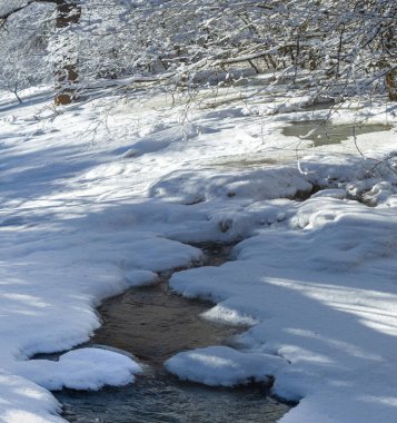 Nehir kışın donar. Kışın nehir gerçek bir harikalar diyarına dönüşür. Büyüsünü hiç yaşamadıysanız, şimdi tam zamanı..