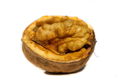 Ceviz. Ceviz bir uyarıcıdır, ama çok fazla kafein bir depresyondur..