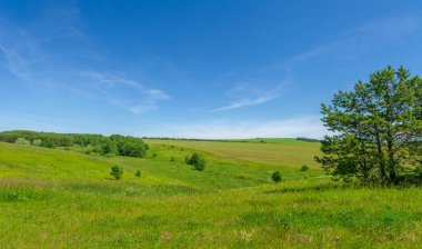 Yaz, çayır tarlaları, vadiler, çam ağaçları fındık ağacı, kır çiçekleri, dünyanın Avrupa bölgesi.
