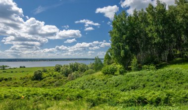Yaz su çayırları, nehir taşkın ovaları, dağdan çekilmiş fotoğraflar. Nehrin kenarında yemyeşil çimenler, çam, huş ağacı, fındık ağacı yetişir. sıcak yaz günleri