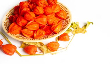 Physalis sidik torbası kirazı, Çin feneri, Japon feneri, Çilek Çileği, Japonya, parlak ve fener benzeri meyve kapları Bon festivalinin geleneksel bir bölümünü oluşturur.