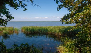 Yaz manzarası. Dünyanın Avrupa bölgesindeki bir nehir. Güneşli sıcak bir gün. Yeşil ağaçlar, çimenler. Mavi gökyüzü küçük bir bulut örtüsüyle.