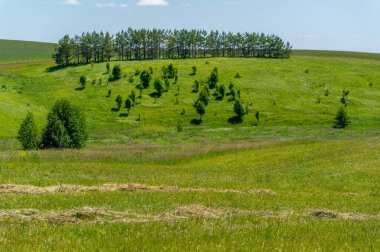 Yaz manzarası, biçilmiş tarlalar biçilmiş tarlalar, biçilmiş yoncalar.