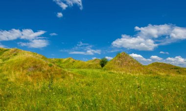 Yaz manzarası, nehir taşkınları, pitoresk kıyılar, kır çiçekli parlak yeşil çimenler, beyaz bulutlu mavi gökyüzü, ılık yaz günleri.,