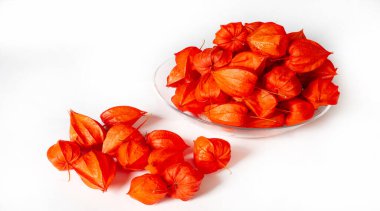 Physalis sidik torbası kirazı, Çin feneri, Japon feneri, Çilek Çileği, Japonya, parlak ve fener benzeri meyve kapları Bon festivalinin geleneksel bir bölümünü oluşturur.