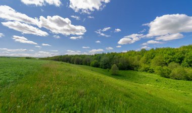 Fotoğraflarınızdaki baharın güzelliğini yakalayın çayırları, tarlaları, vadileri, tepeleri ve kırsal alanları keşfedin derin vadiler gibi gizli mücevherleri keşfedin. Doğal olarak yükseltilmiş toprak parçalarının çarpıcı fotoğraflarını çek..