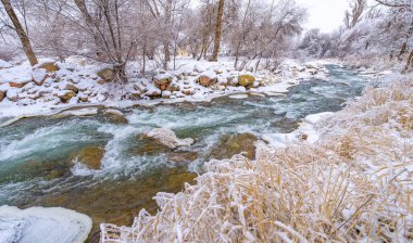 Nehir kışın donar. Ormandaki en sevdiğim kış nehri sessizliği büyüleyiciydi. Sadece rüzgarın sesi ve akan akarsu yüzünden kırılmıştı. Hala hayatta, suyun altında. kar ve buz