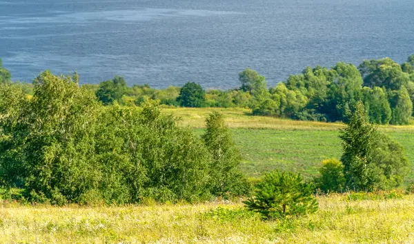 Letni Krajobraz Rzeka Europejskiej Części Świata Słoneczny Ciepły Dzień Zielone — Zdjęcie stockowe