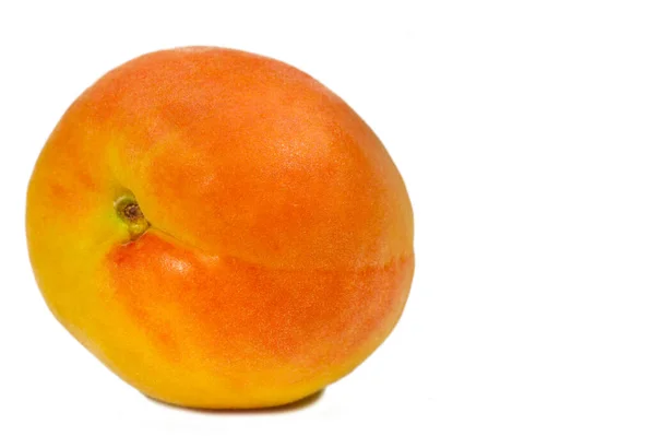 Apricot Рідкісний Різновид Спадщини Англії Початку 1800 Років Плоди Маленькі — стокове фото