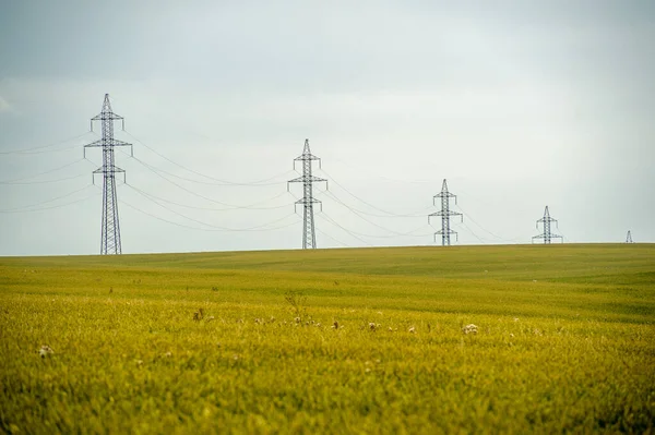 Summer Photo Wheat Field Power Poles Power Support Steel Transmission — Stock Photo, Image