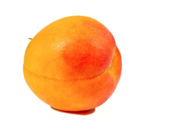 Apricot Хоча Їхня Назва Prunus Armeniaca Абрикоси Ймовірно Походять Китаю — стокове фото