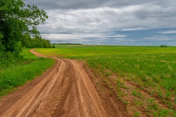 Fotografie Primăvară Peisaj Rural Drum Murdărie Prin Câmpuri Tinere Grâu — Fotografie, imagine de stoc