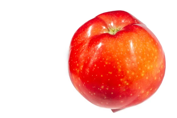 배경에 애플사 사과가 생각에 과일은 부정할 수없습니다 에덴동산에서 나왔다 — 스톡 사진