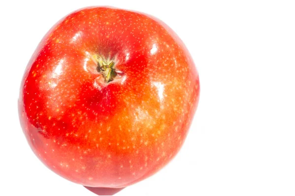 Jablko Bílém Pozadí Svět Byl Jiný Kdyby Byl Adam Alergický — Stock fotografie