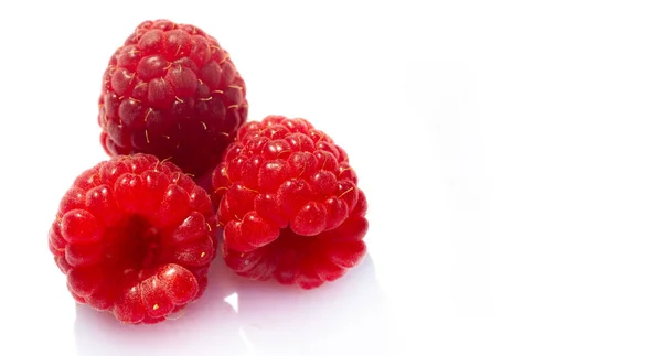 Raspberry Late Summer Native Raspberries Make Way Fields Your Fridge — Stock Photo, Image