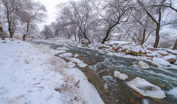 Nehir Kışın Donar Donmuş Nehirleri Deneyimlemenin Kolay Yolu Buzda Yürümektir — Stok fotoğraf