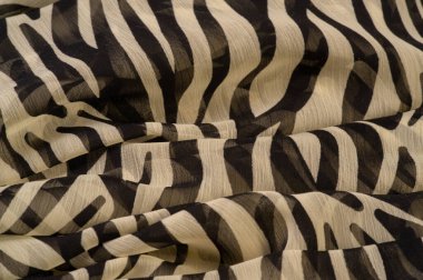 Siyah ve bej çizgili ipek kumaş, Afrika tarzı zebra derisi. Tasarımcı için, tasarımın taslağı, dekoratörün çevresi. Arkaplan dokusu koleksiyonu