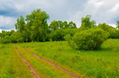 Yaz manzarası, gök gürültülü bulutlar, mavi gökyüzü, sel basmış çayır tarlaları, yaz renklerinin kokusu ve çeşitli kır çiçekleri.
