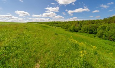 Fotoğraflarınızdaki baharın güzelliğini yakalayın çayırları, tarlaları, vadileri, tepeleri ve kırsal alanları keşfedin derin vadiler gibi gizli mücevherleri keşfedin. Doğal olarak yükseltilmiş toprak parçalarının çarpıcı fotoğraflarını çek..