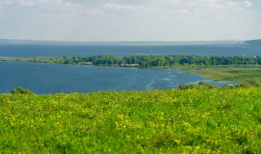 Yaz manzarası. Dünyanın Avrupa bölgesindeki bir nehir. Güneşli sıcak bir gün. Yeşil ağaçlar, çimenler. Mavi gökyüzü küçük bir bulut örtüsüyle.