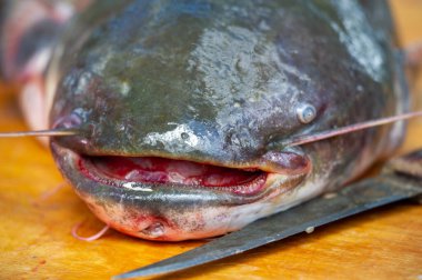 Balık yemek için hazır. Yağlı balıklar da özellikle kalp sağlığını destekleyen uzun zincirli omega-3 yağ asitleri bakımından zengindirler..