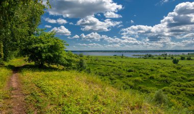 Yaz su çayırları, nehir taşkın ovaları, dağdan çekilmiş fotoğraflar. Nehrin kenarında yemyeşil çimenler, çam, huş ağacı, fındık ağacı yetişir. sıcak yaz günleri