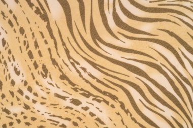 Kahverengi ve beyaz çizgili ipek kumaş, Afrika tarzı zebra derisi. Çizgili arka plan dokusu tekrarlanıyor. Tasarımcı için, tasarımın taslağı, dekoratörün çevresi.. 