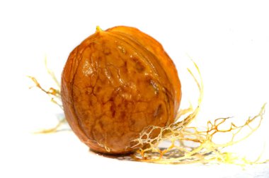 Ceviz. Eğer bir fincan ceviz yapamıyorsan, ruhun yoktur.