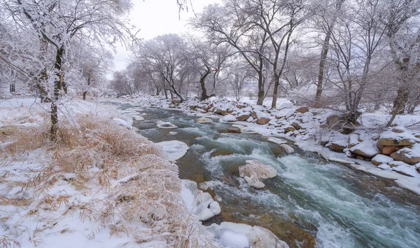 Зимой Река Замерзает Зимой Река Превращается Настоящую Страну Чудес Никогда — стоковое фото