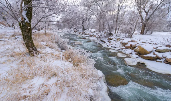 Floden Fryser Till Vintern Vintern Får Mig Att Tänka När — Stockfoto